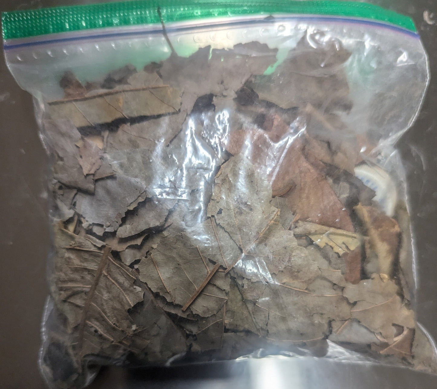 Fèy kachiman/ Sweetsop leaves