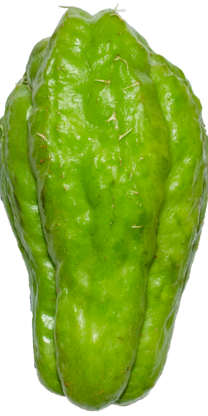 Militon/ chayote