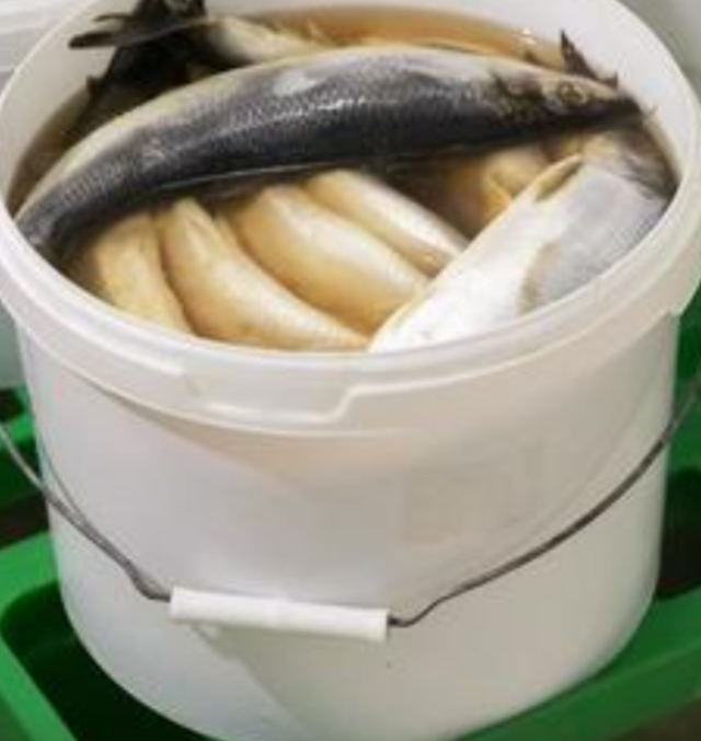 Kès bokit aransèl/ Salted herring in bucket